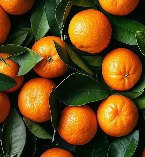 Mandarins(Clementine)| Stored (45d)|~220 MT | Morocco