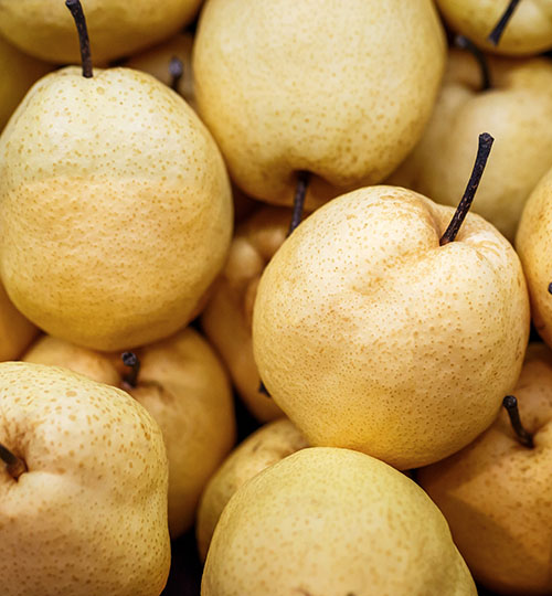 Chinese Pear (Ya Pear)
| Stored (60d) | ~300 MT | China