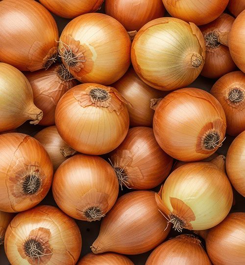 Onions (Yellow) | In production (45d) | ~420 MT | China