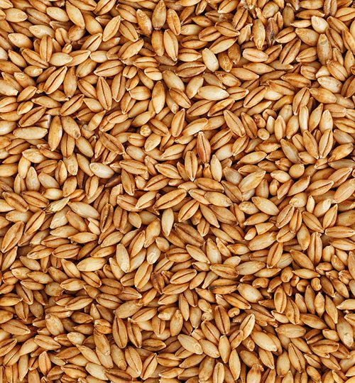 Barley (Feed Gr.) | In production (75d) | ~380 MT | Ukraine