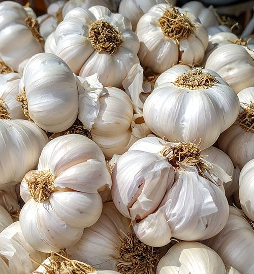 Garlic (White) | Stored (60d) | ~180 MT | China
