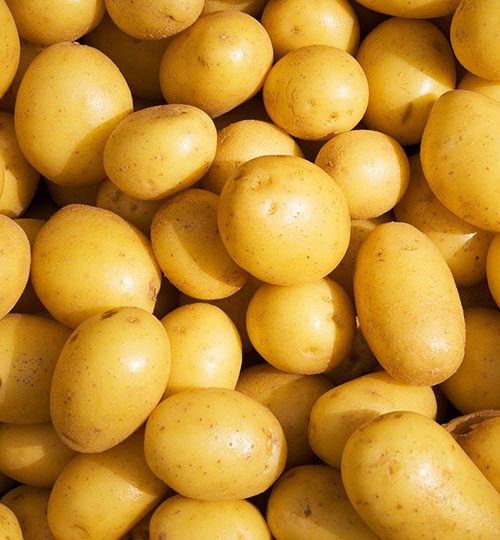 Potatoes (Agria) | Stored (30d) | ~350 MT | China