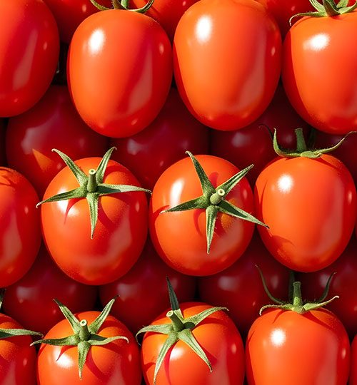 Tomatoes (Roma) | Upcoming harvest (25d) | ~260 MT | China